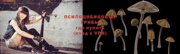 метадон Богородск